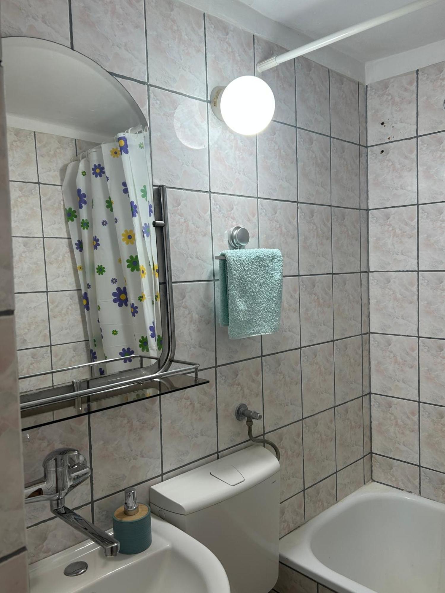 Dorcoleta Apartment 贝尔格莱德 外观 照片
